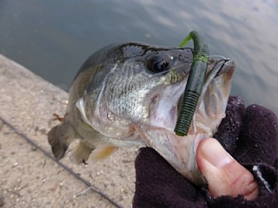 truth news ブログ写真 2013/12/20