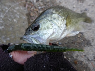 truth news ブログ写真 2013/12/20