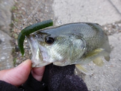 truth news ブログ写真 2013/12/20