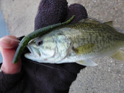 truth news ブログ写真 2013/12/20