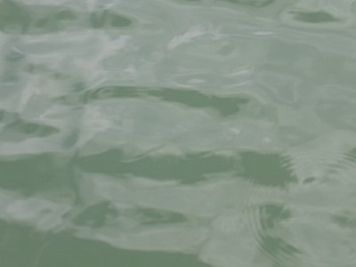 truth news ブログ写真 2013/12/22