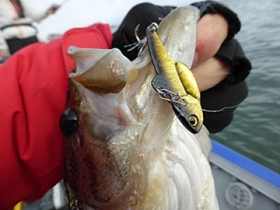 truth news ブログ写真 2013/12/22