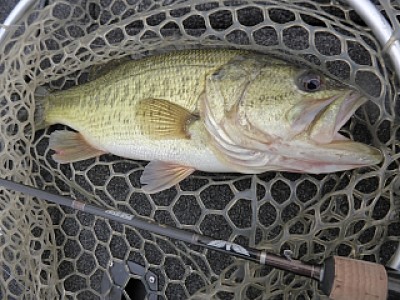 truth news ブログ写真 2014/01/06