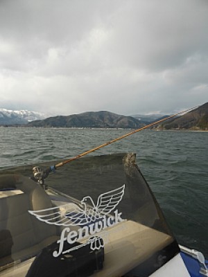 truth news ブログ写真 2014/01/07