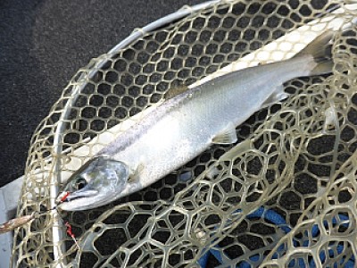 truth news ブログ写真 2014/01/12