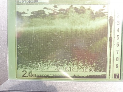 truth news ブログ写真 2014/01/13