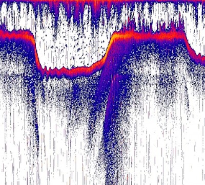truth news ブログ写真 2014/01/19