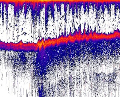 truth news ブログ写真 2014/01/19