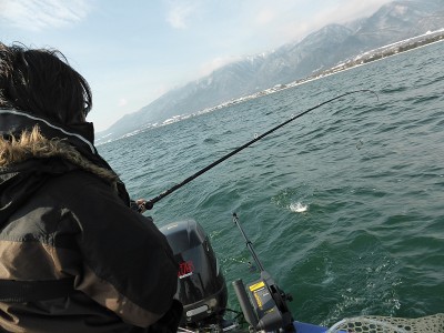 truth news ブログ写真 2014/01/21