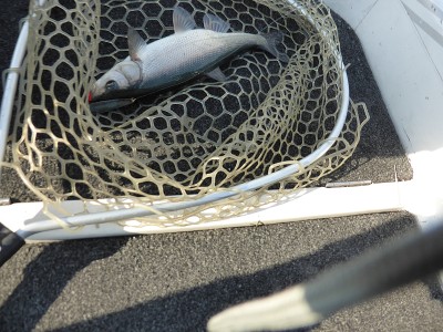 truth news ブログ写真 2014/01/21