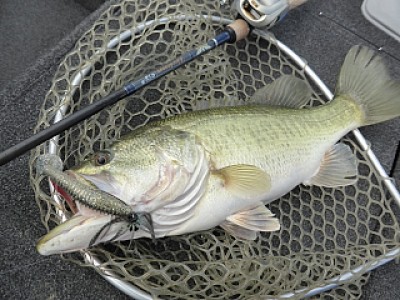 truth news ブログ写真 2014/02/22