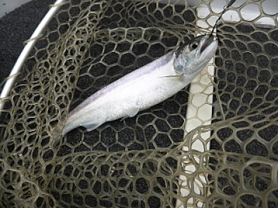 truth news ブログ写真 2014/03/02