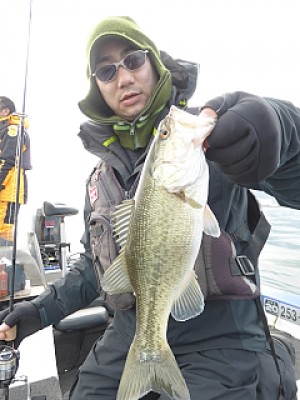 truth news ブログ写真 2014/03/03