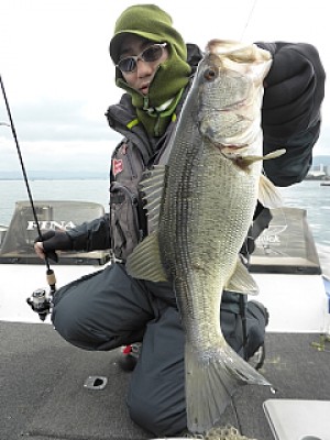 truth news ブログ写真 2014/03/03