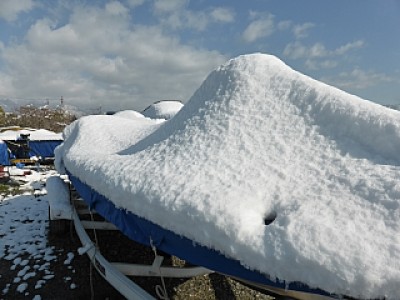 truth news ブログ写真 2014/03/11