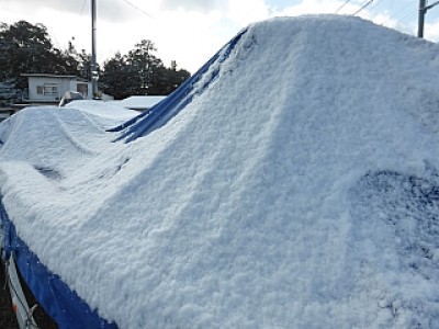 truth news ブログ写真 2014/03/11