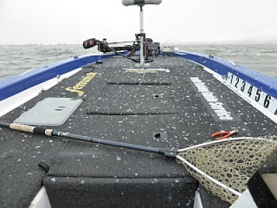 truth news ブログ写真 2014/03/11