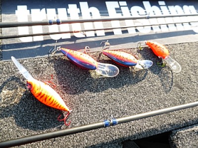 truth news ブログ写真 2014/03/15