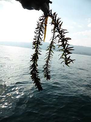 truth news ブログ写真 2014/03/15