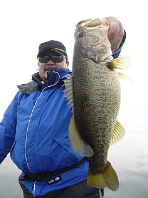 truth news ブログ写真 2014/03/18