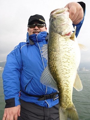 truth news ブログ写真 2014/03/18