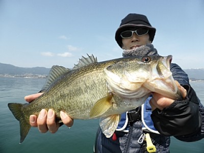 truth news ブログ写真 2014/03/19