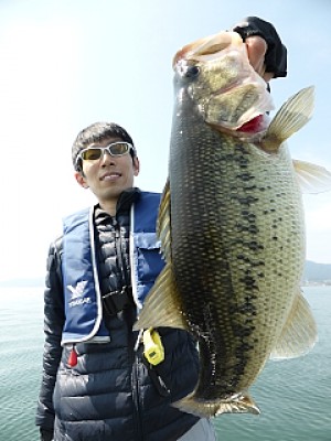 truth news ブログ写真 2014/03/19