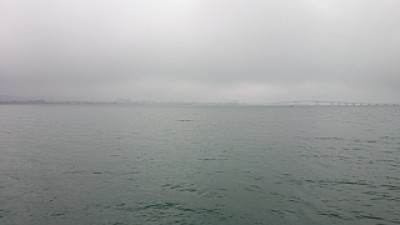 truth news ブログ写真 2014/03/20