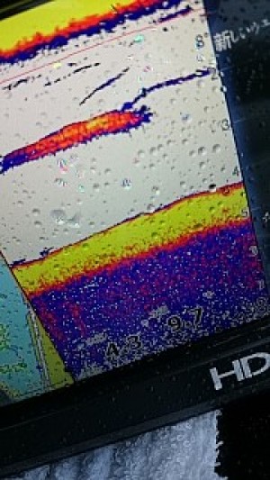 truth news ブログ写真 2014/03/20