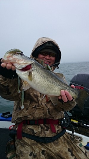 truth news ブログ写真 2014/03/20