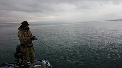 truth news ブログ写真 2014/03/20