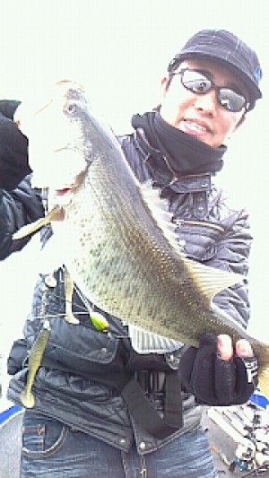 truth news ブログ写真 2014/03/22