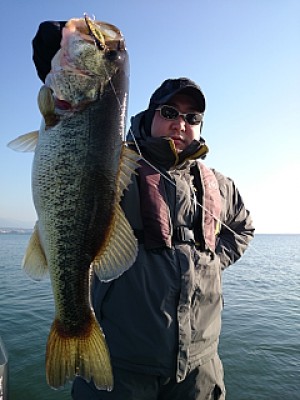 truth news ブログ写真 2014/03/23