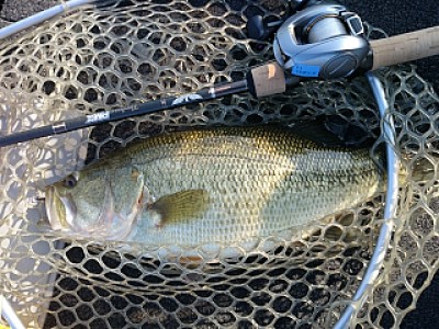 truth news ブログ写真 2014/03/23