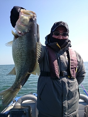 truth news ブログ写真 2014/03/23