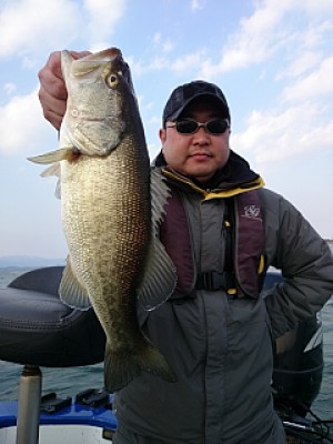 truth news ブログ写真 2014/03/23