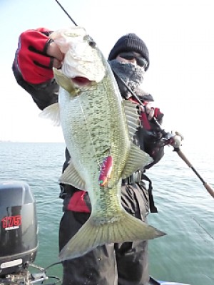 truth news ブログ写真 2014/03/24