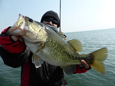 truth news ブログ写真 2014/03/24