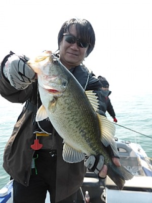 truth news ブログ写真 2014/03/24