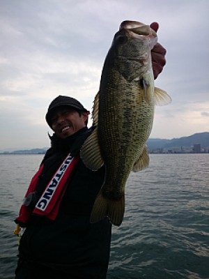 truth news ブログ写真 2014/03/25