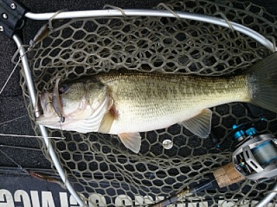 truth news ブログ写真 2014/03/25