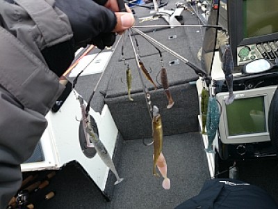 truth news ブログ写真 2014/03/25