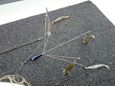 truth news ブログ写真 2014/03/25