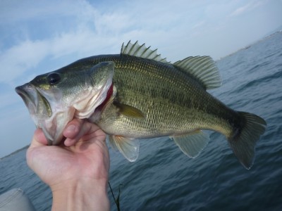 truth news ブログ写真 2014/03/29