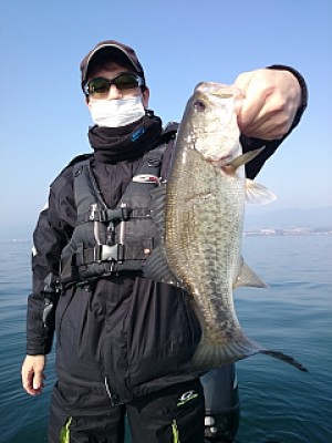 truth news ブログ写真 2014/03/29