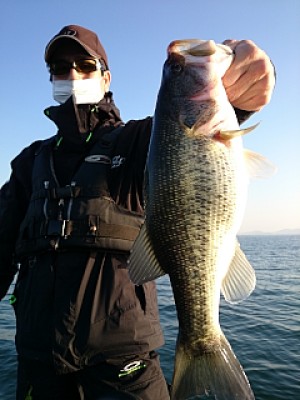 truth news ブログ写真 2014/03/29