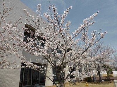 truth news ブログ写真 2014/04/03
