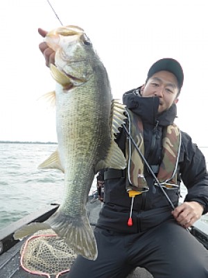 truth news ブログ写真 2014/04/04