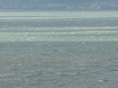 truth news ブログ写真 2014/04/04