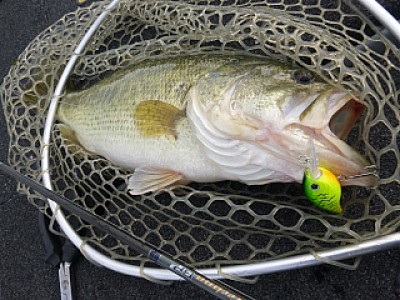 truth news ブログ写真 2014/04/05